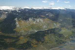 Aerial view of aspens and snow