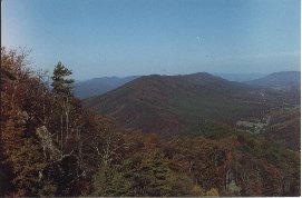 Click to see fallcolor.jpg