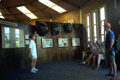 Click to see galapmisc1.jpg