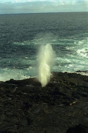 Click to see galapmisc5.jpg