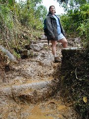 Click to see napalitrail6.jpg
