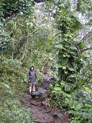 Click to see napalitrail.jpg