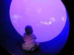 Click to see aquarium3.jpg