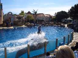 Click to see sw_bubbles3.JPG