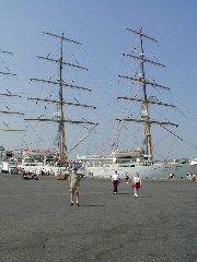 Click to see tallships1.jpg