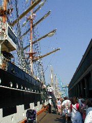 Click to see tallships4.jpg