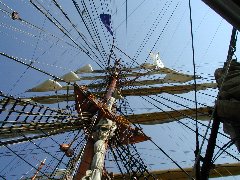 Click to see tallships6.jpg