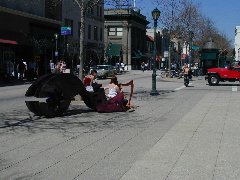 Click to see santacruz1.jpg