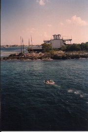 Click to see snorkel.jpg