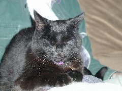 Click to see ali.jpg